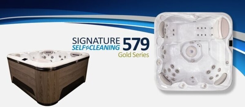 Self Clean - 579 Gold 